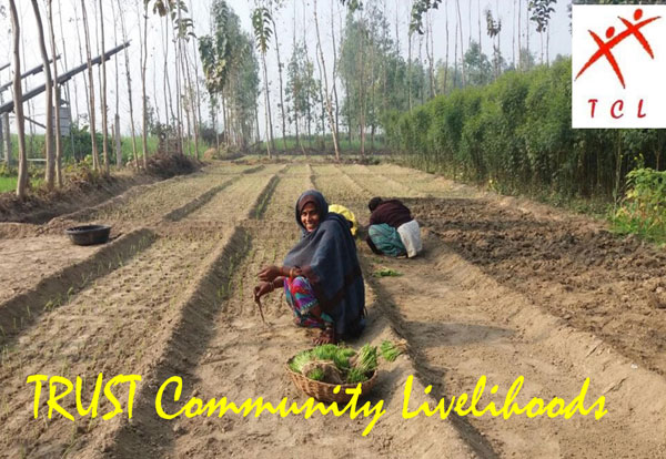 Trust Community Livelihoods (TLC) presentation cover