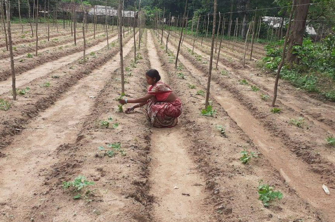 RCRC, a coalition of 65 civil society organisations supports the rural poor, marginalised communities through direct action, research and policy advocacy, to respond to the devastating disruption caused by COVID-19